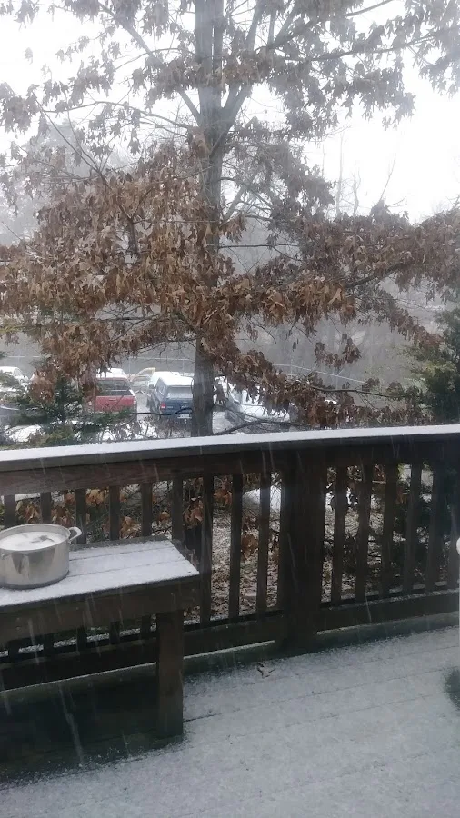 Great Dane Recovery primary photo