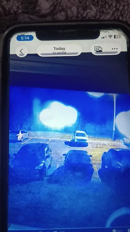 Hound Dog's Towing & Recovery