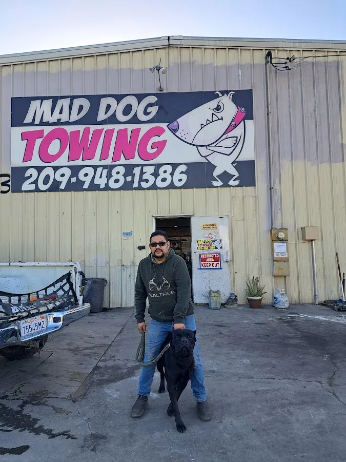Mad Dog Towing
