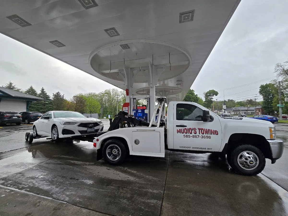 Muoio Towing