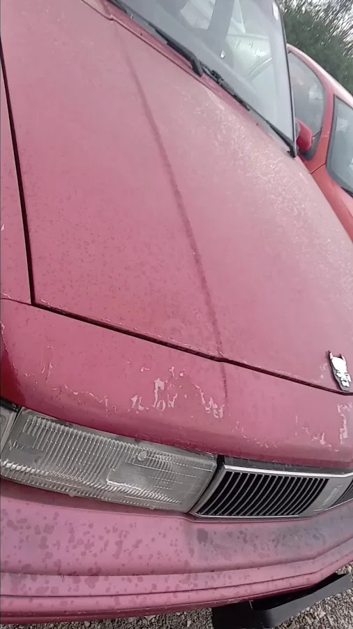 Pro Tow Towing & Recovery