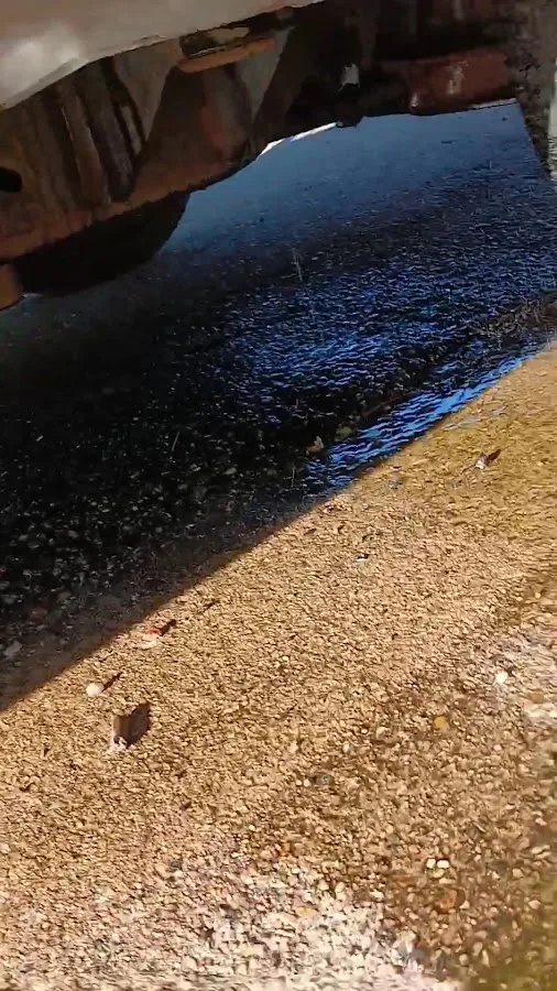 Salgado Towing & Recovery