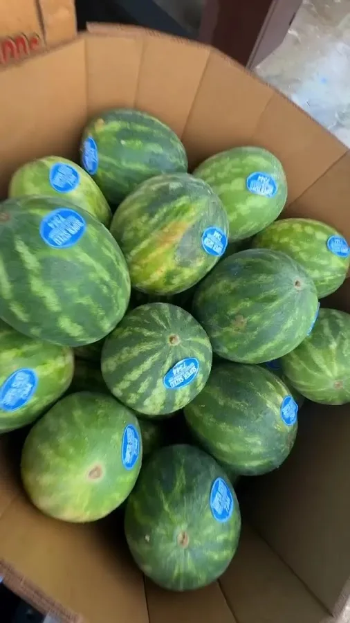 San Antonio Heavy Duty Wrecker Service