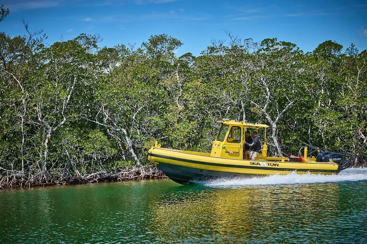 Sea Tow Charleston