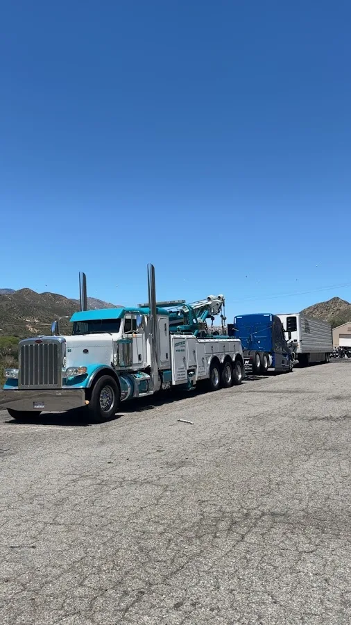 Statewide primary photo