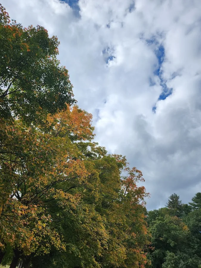 steele bros Roadside Assistance