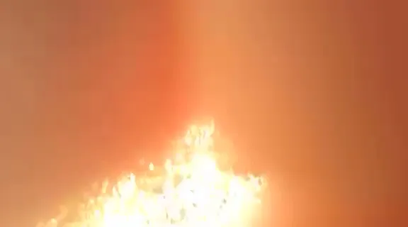 Tiger Towing & Transportation