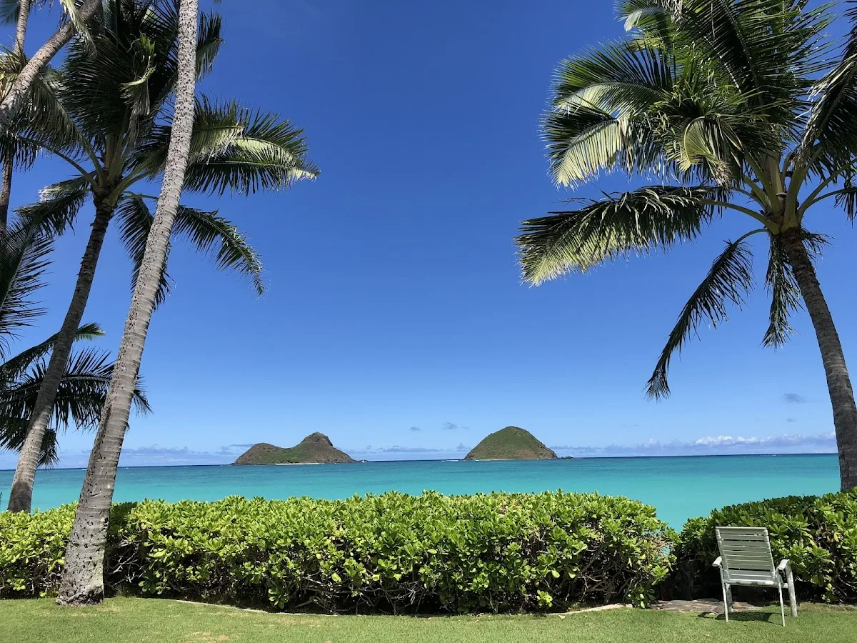 Towing Waikiki & Recovery